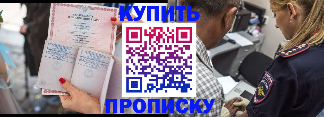 прописка законно в Выборге